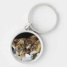 Wolf keys key chain