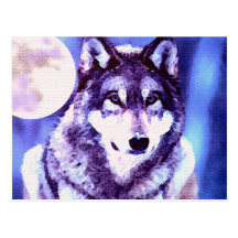 Wolf Look - Lonely Wolf Postcard