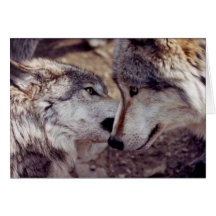 Wolf Lovers Greeting Cards