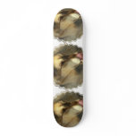 Wolf Lunch Skateboard