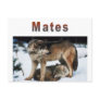 Wolf Mates Line Postcards