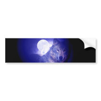 Wolf & Moon
