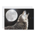 Wolf & Moon Invitation