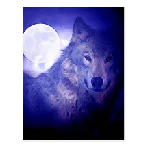 Wolf & Moon Post Card