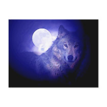 Wolf & Moon
