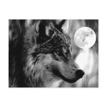 Wolf & Moon