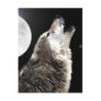 Wolf & Moon Postcards