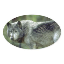 Wolf on a Tree Stump Oval Stickers