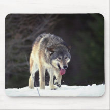 Wolf on snowy horizon mousepads