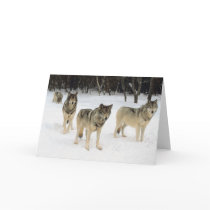 Wolf Pack Card