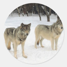 Wolf Pack Round Sticker