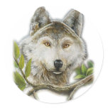 Wolf Painting with just face Sticker
