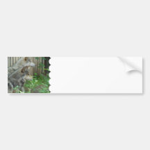 Wolf Pair  Bumper Sticker