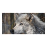 Wolf Personalized Photo Card