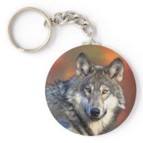 Wolf Photograph