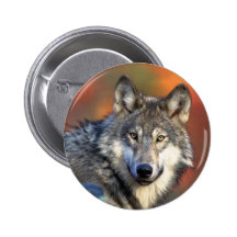 Wolf Photograph Pin
