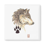Wolf Portrait magnets