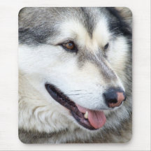 Wolf Portrait Mouse Pads
