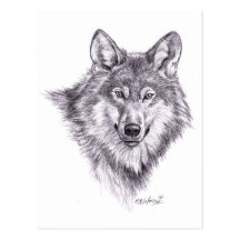 wolf post card