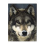 Wolf Postcards