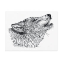 Wolf Postcard