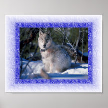 Wolf Poster