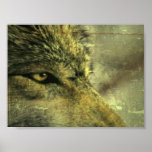 Wolf posters