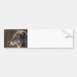 Wolf Profile Bumper Stickers