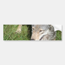 Wolf Prowl Bumper Sticker