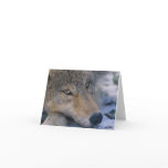 Wolf_pup_closeup cards
