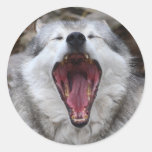 wolf round sticker