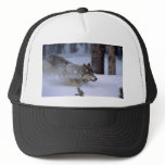 Wolf Running In Snow hats