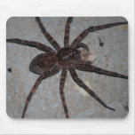 wolf spider with snack mousepad