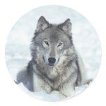 Wolf Stickers