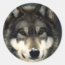 Wolf Stickers