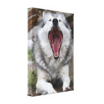 wolf stretched canvas prints