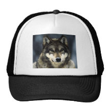 Wolf Trucker Hat