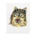Wolf with Butterfly Postcard