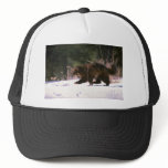 Wolverine running through snow hats