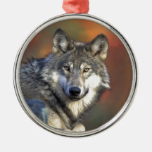 Wolves Christmas Tree Ornaments
