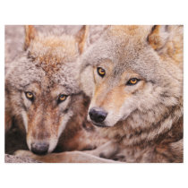 Wolves Flyer Design