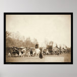 Woman Bullwhacking Oxen SD 1887 posters