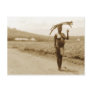 Woman carrying bamboo, Rwenzori Range, Uganda Post Cards