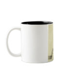 Woman holding cat on lap sitting on fence mugs