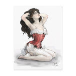 Woman in Red Corset postcards