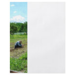 Woman Planting Garden Near Barn flyers