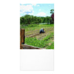 Woman Planting Garden Near Barn photo cards