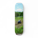Woman Planting Garden Near Barn skateboards