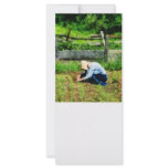 Woman Planting Garden rack cards