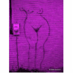 Woman Wall photo sculptures